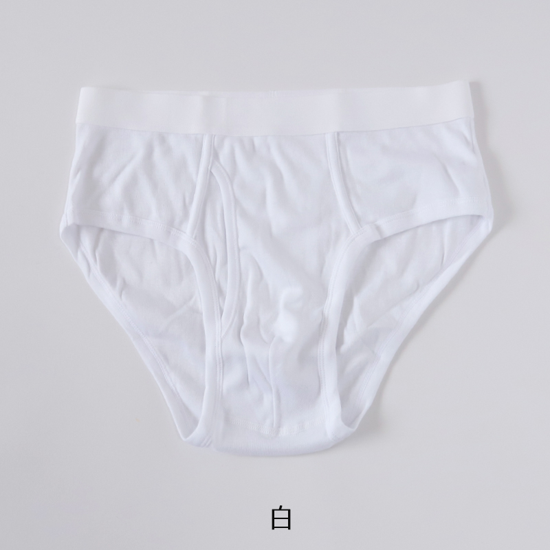 メンズ パンツ 綿100% セミビキニブリーフ 大きいサイズ 前開き 3L・4L 下着 ブリーフパンツ インナー 肌着 紳士肌着 男性 紳士 パンツ 綿100％ コットン 3L 4L