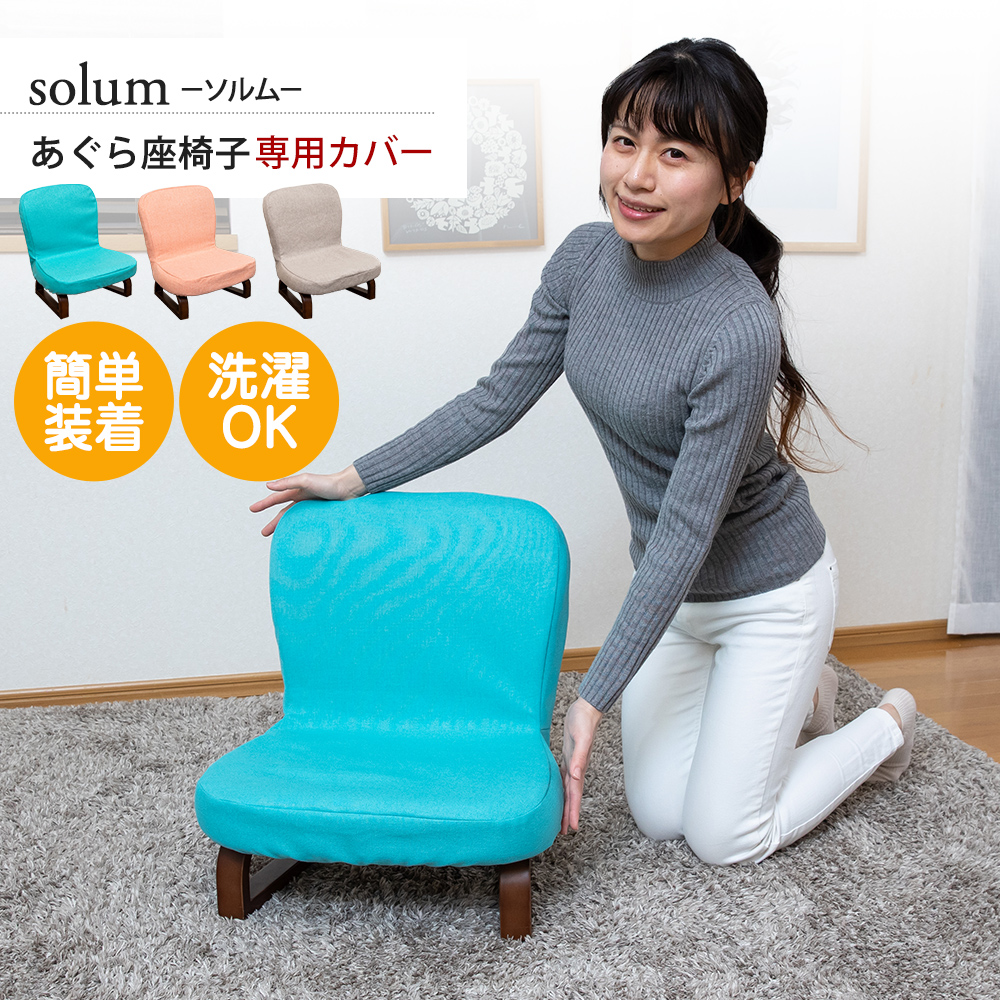 ソルム専用カバー