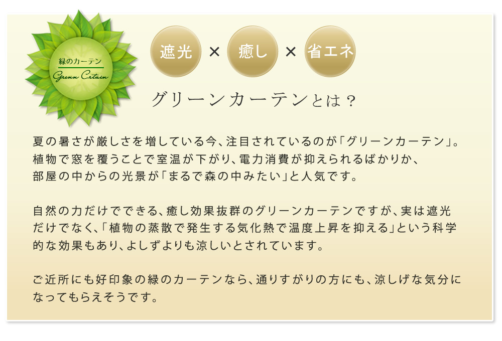 アイアン製グリーンカーテン アーガイル 2枚組 IFGC011-2P-BLK｜suwalog｜04