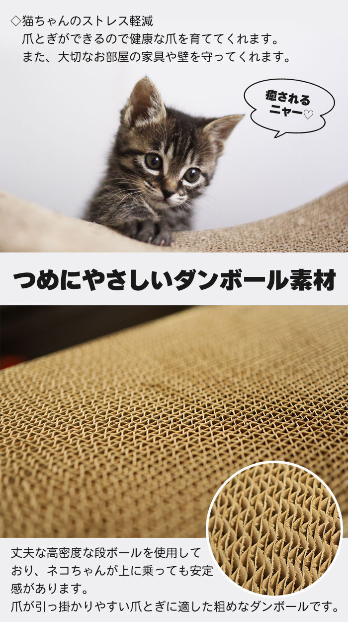 ねこ鍋 ダンボールの商品一覧 通販 - Yahoo!ショッピング