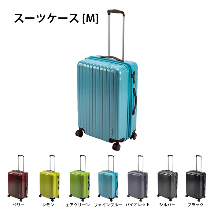 多様な スーツケースベルト TSAスーツケースベルト TSAロック搭載のワンタッチスーツケースベルト TSAロックベルト 海外旅行 旅行用品  トラベル用品 トラベルグッズ ネコポスは送料無料