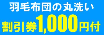 羽毛布団丸洗い割引券1,000円分プレゼント特典