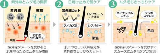 紫外線とムダ毛の深い関係