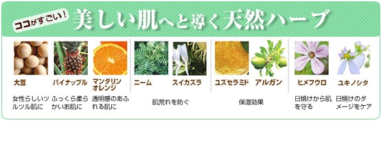 美しい肌へと導く天然ハーブ