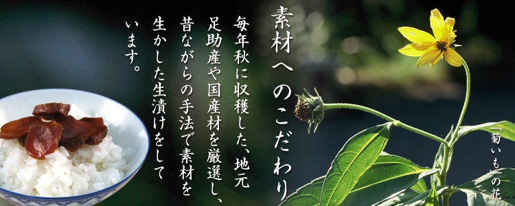 菊芋