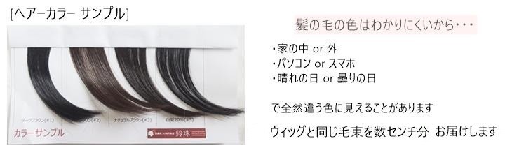 サンプル