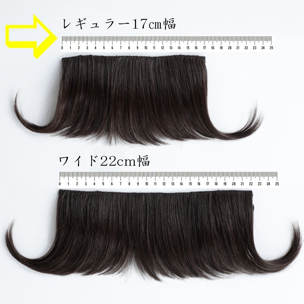 比較レギュラー