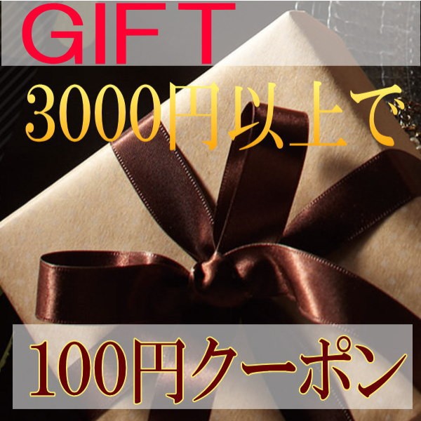 贈り物すず陶の「ギフト3000円以上お買い上げで１００円クーポン」のクーポン