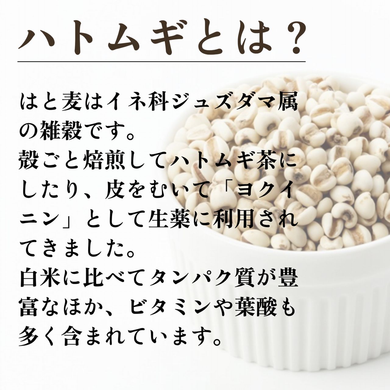 はと麦はイネ科ジュズダマ属の雑穀です。殻ごと焙煎してハトムギ茶にしたり、皮をむいて「ヨクイニン」として生薬に利用されてきました。白米に比べてタンパク質が豊富なほか、ビタミンや葉酸も多く含まれています。