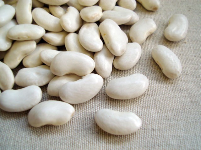 大福豆 1kg 2023年 北海道産 白いんげん 全てのアイテム fineartsfac