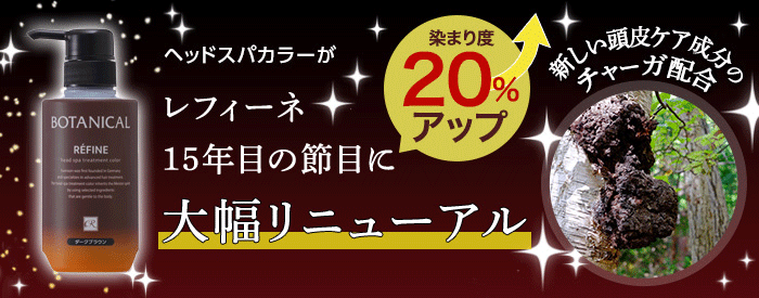 リニューアル新発売 白髪染め レフィーネ 激安超特価 ヘッドスパ トリートメント カラー 300g 女性用 白髪染めトリートメント 男性用 全体染め 2本セット R4