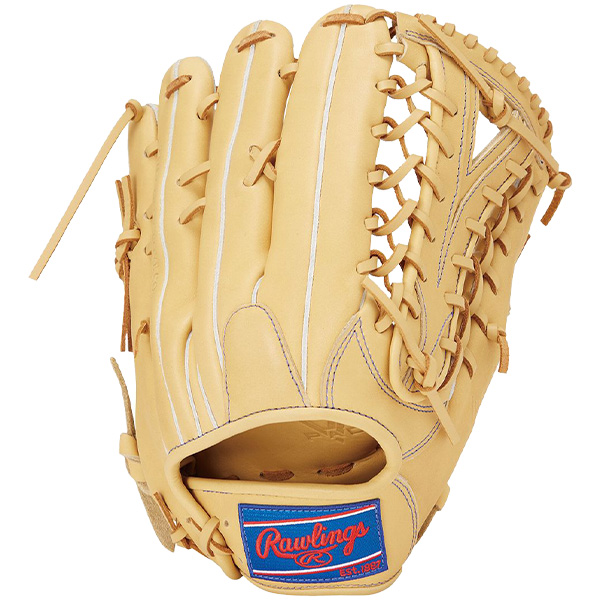 Rawlings 【湯もみ型付け込み/代引、後払い不可 】野球
