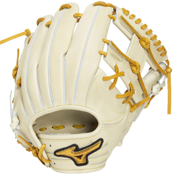 Mizuno Pro 【湯もみ型付け込み/代引、後払い不可 】野球 グローブ