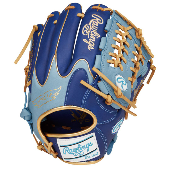 Rawlings 軟式グローブ（色：ブルー系）｜グローブ｜野球