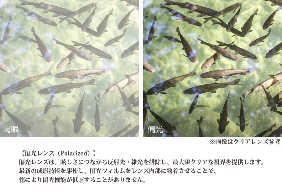 GATORZ（ゲイターズ） MAGNUM / Asian Fit Polarized 偏光レンズ GZ-01
