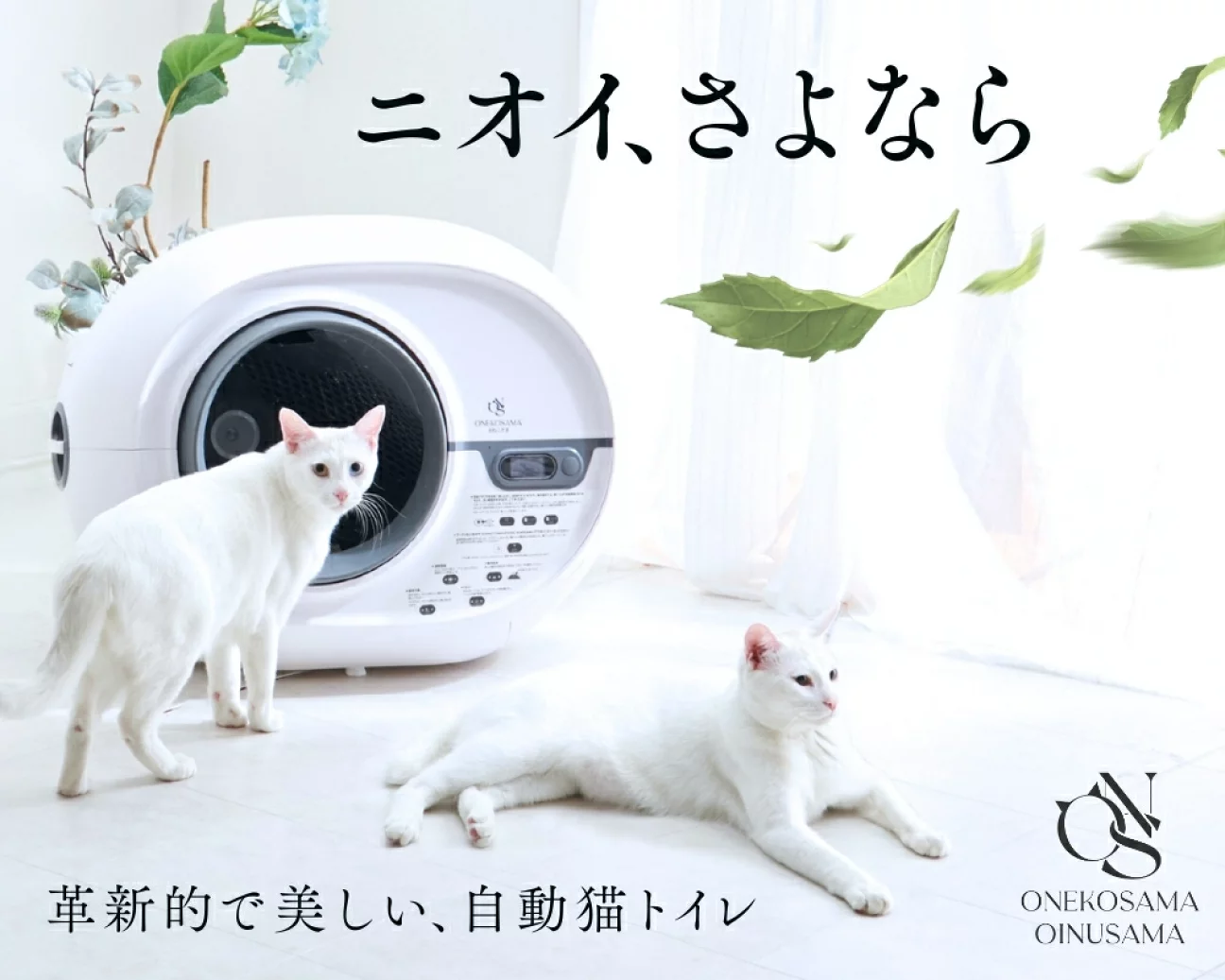 自動猫トイレ