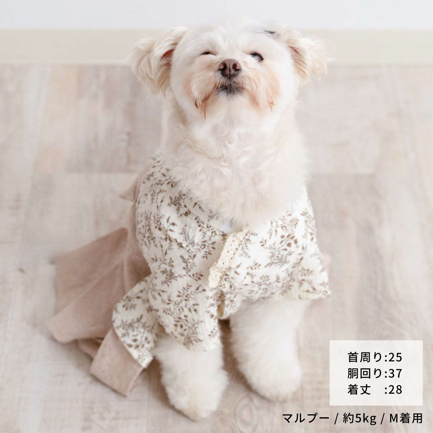 最終値下げ。犬の着物✨犬用本格袴ピンク×オフホワイト、バレッタ付き ONEKOSAMA OINUSAMA 犬 猫 服 着物 袴 ペット お祝い 端午の節句