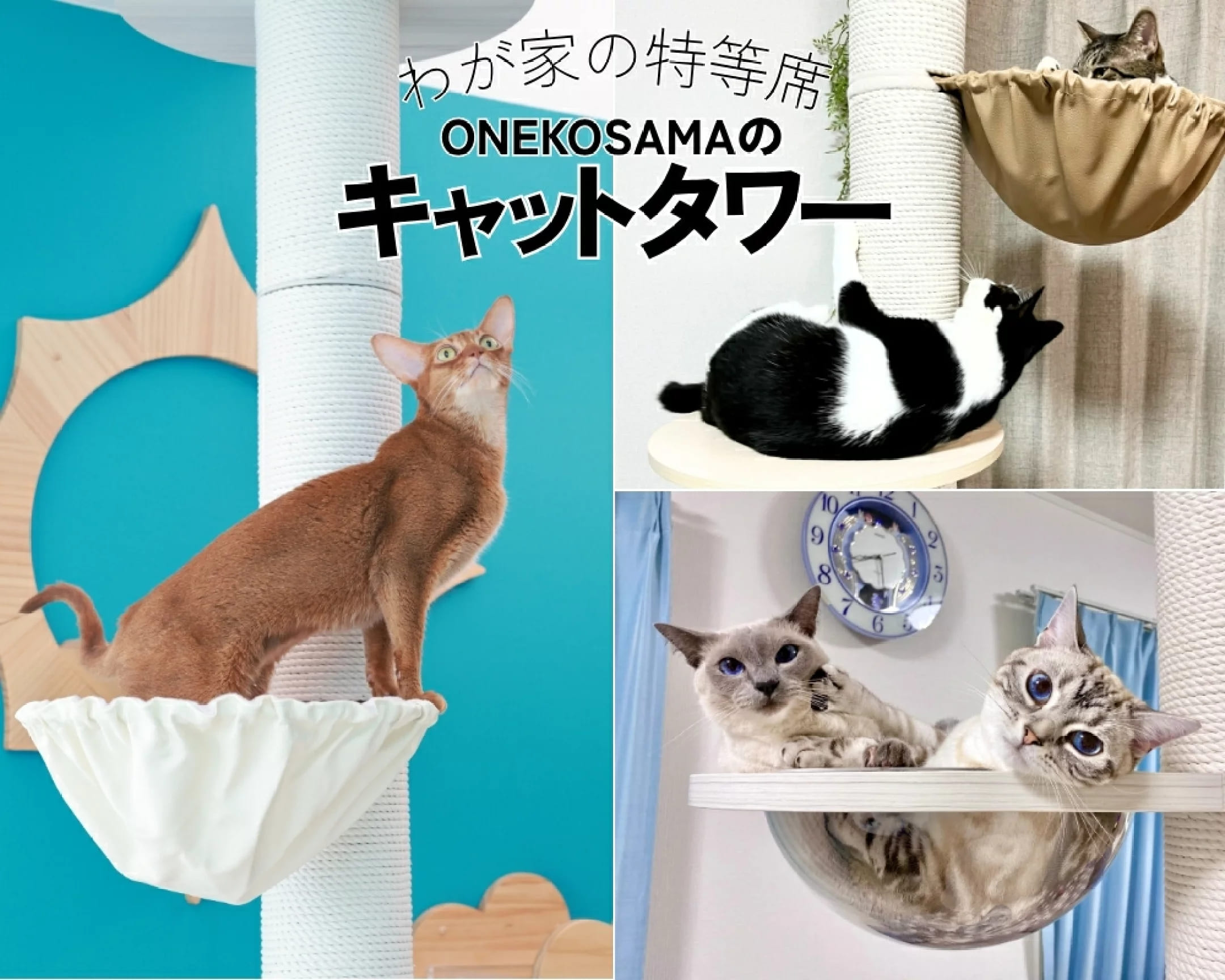マタニティウェア・授乳服の通販｜スウィートマミーYahoo!ショッピング店