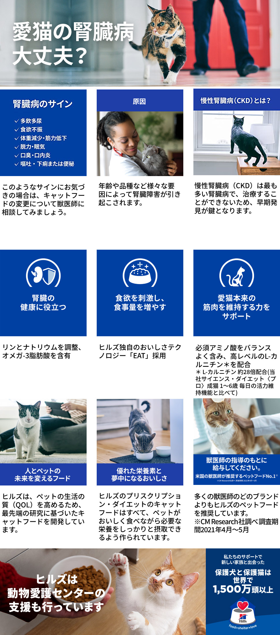 プリスクリプション・ダイエット 【82g×24缶】ヒルズ ウェット k/d