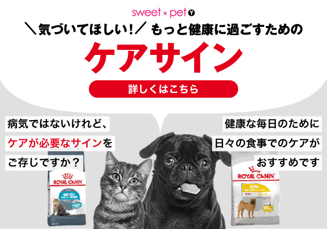 RCケア2025