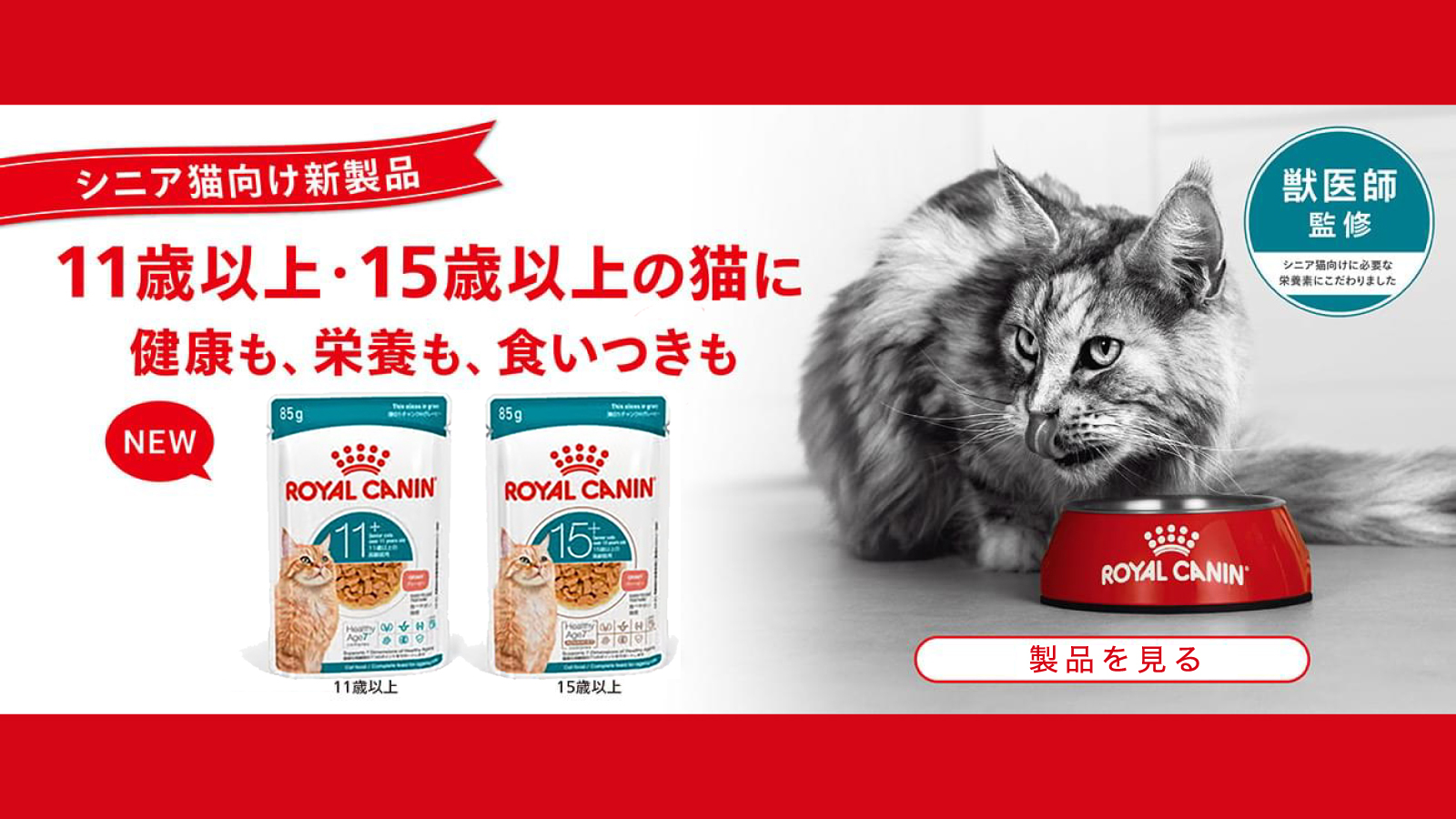 フィーライン ヘルス ニュートリション 【再入荷なし】【85g×48袋