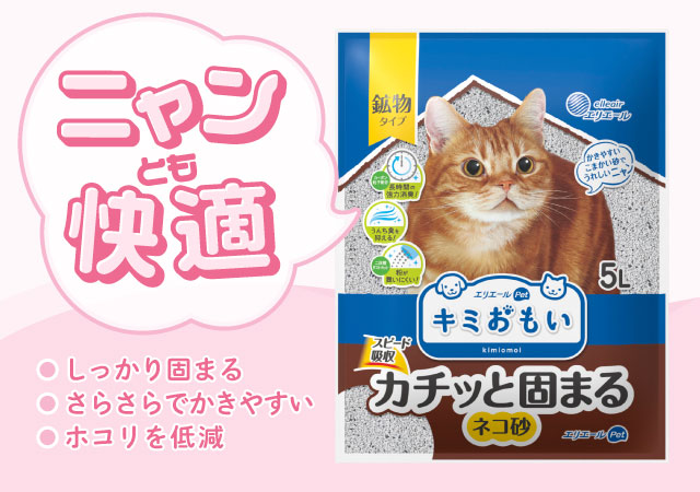 キミおもいねこすな