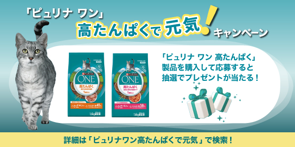 ピュリナワン 【1.6kg×3袋】ネスレ ピュリナ ワン キャット 高たんぱく
