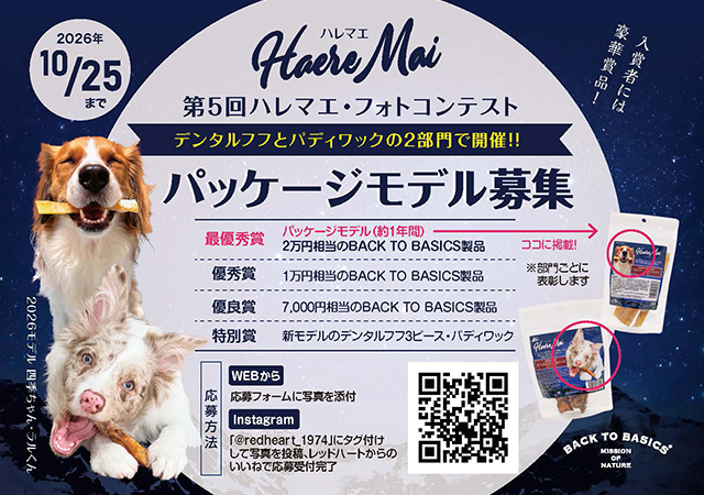 ハレマエ Haere Mai デンタルフフ 3ピース(犬・ドッグ)[正規品