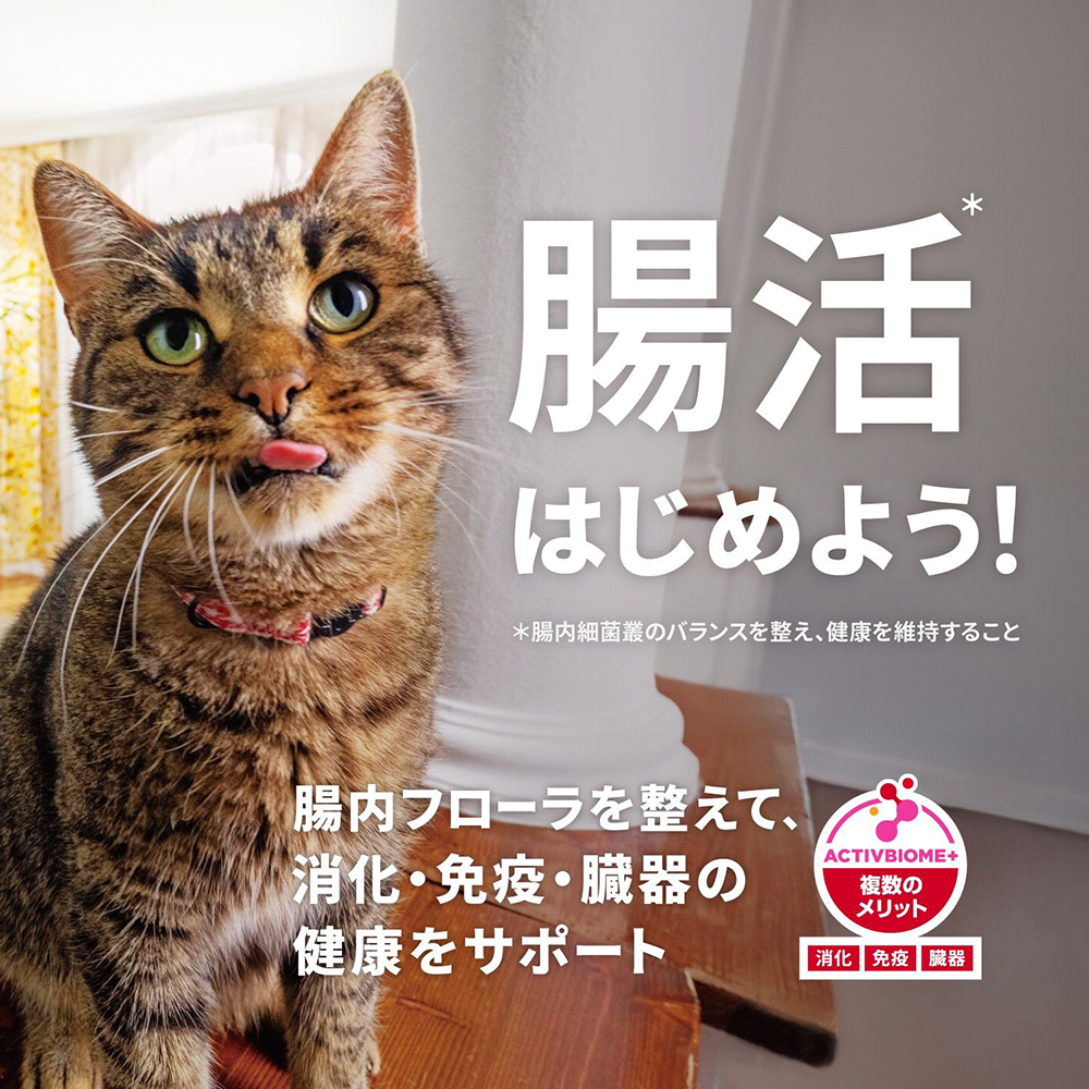 サイエンス・ダイエット 【2.8kg×4袋】ヒルズ シニア 7歳以上 高齢猫用