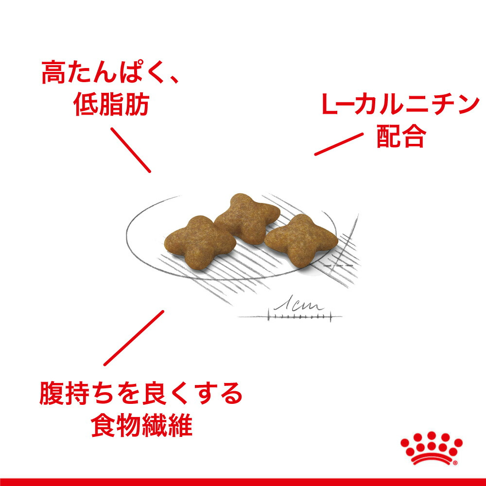 ロイヤルカナン エクストラスモール ステアライズド 1.5kg (犬・ドッグ) [正規品] ドッグフード 犬 ドライフード｜sweet-pet｜03