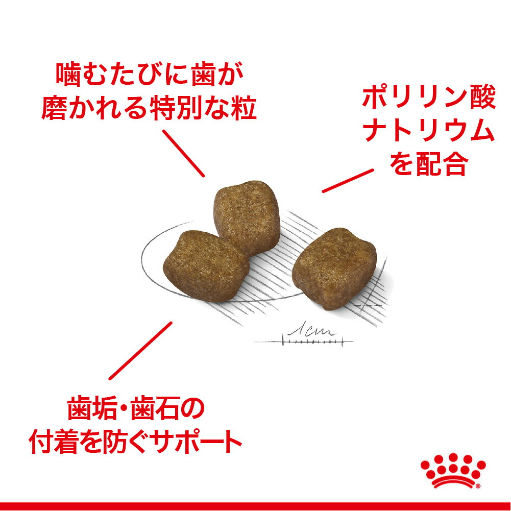 ロイヤルカナン ミニ デンタル ケア 2kg (犬・ドッグ) [正規品] ドッグフード 犬 ドライフード｜sweet-pet｜03