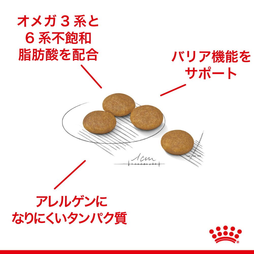 ロイヤルカナン ダーマコンフォート 皮膚の健康を維持したい犬用 8kg Amazon.co.jp: ロイヤルカナン 皮膚の健康を維持したい犬用 小型