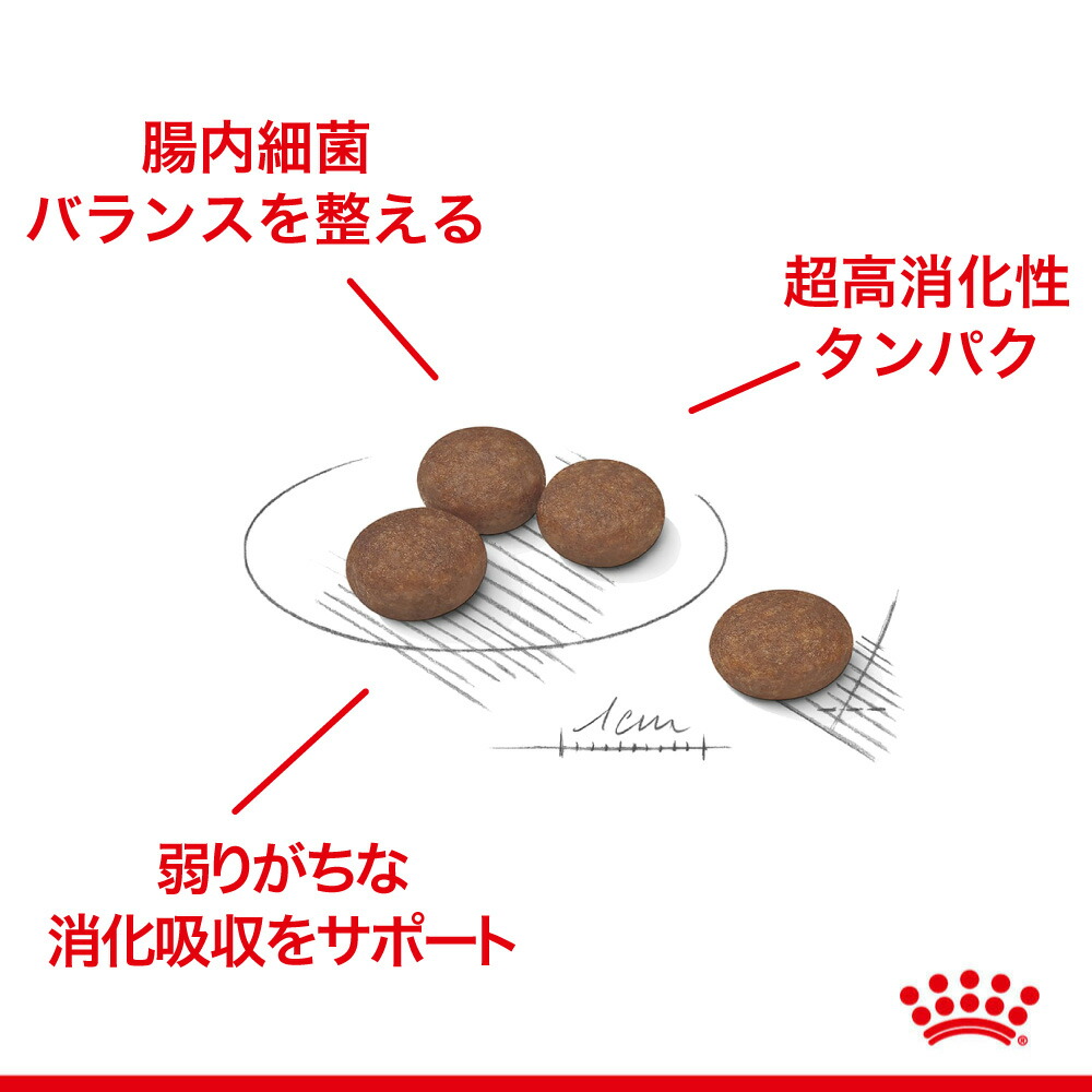 ロイヤルカナン ミニ ダイジェスティブケア 1kg(犬・ドッグ) [正規品]｜sweet-pet｜03