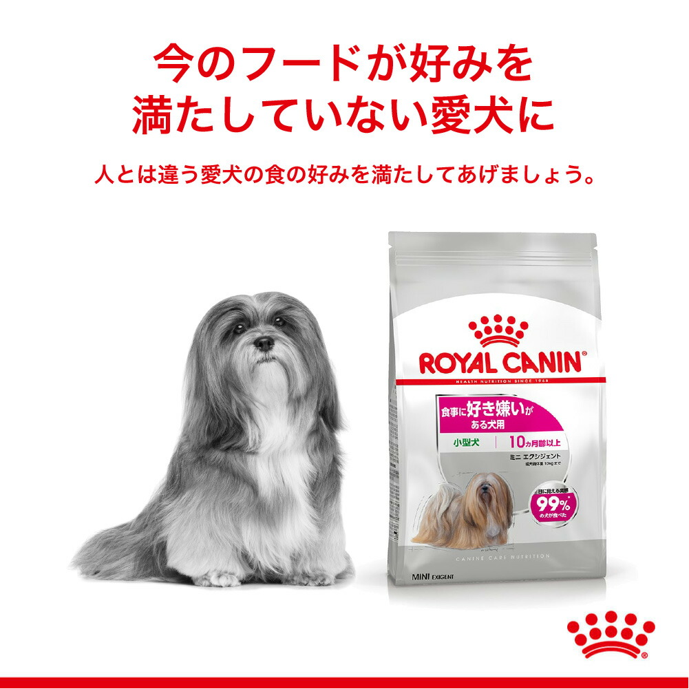 ロイヤルカナン ミニ エクシジェント(犬・ドッグ) [正規品]