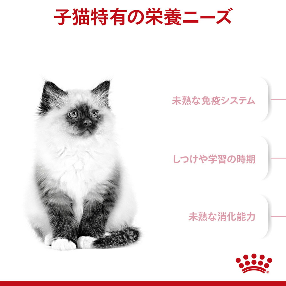 【2kg×6袋】ロイヤルカナン 子猫 キトン 成長後期の子猫用 (猫・キャット) [正規品]｜sweet-pet｜02