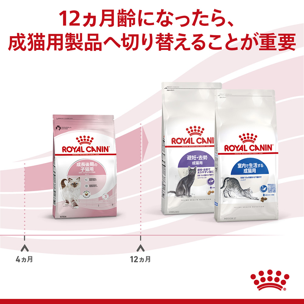 【10kg×2袋】ロイヤルカナン 子猫 キトン 猫用 (猫・キャット) [正規品]｜sweet-pet｜05