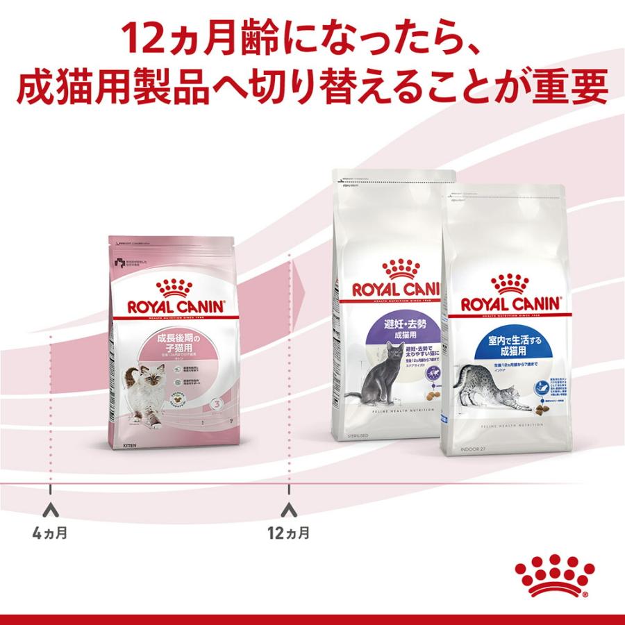 【2kg×4袋】ロイヤルカナン 子猫 キトン 成長後期の子猫用 (猫・キャット) [正規品]｜sweet-pet｜05