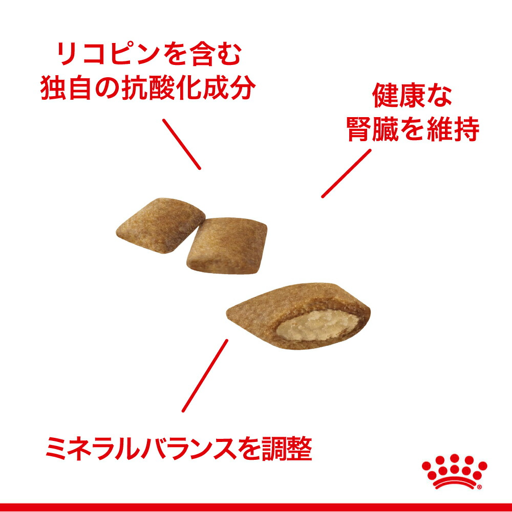 【2kg×2袋】ロイヤルカナン エイジング12+  (猫・キャット)[正規品]｜sweet-pet｜03