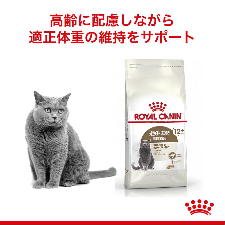 【2kg×4袋】ロイヤルカナン エイジングステアライズド12+ (猫・キャット)[正規品]｜sweet-pet｜02