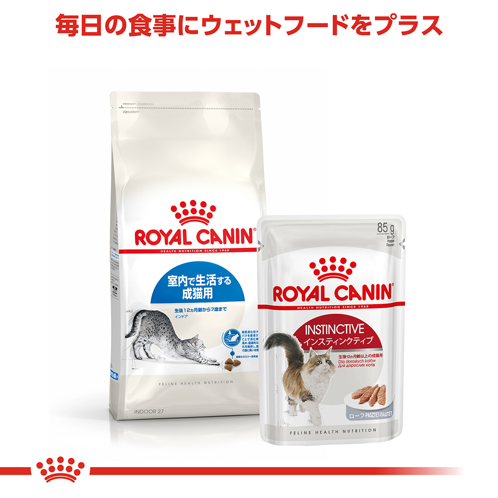 【4kg×4袋】ロイヤルカナン インドア (猫・キャット)[正規品]｜sweet-pet｜06