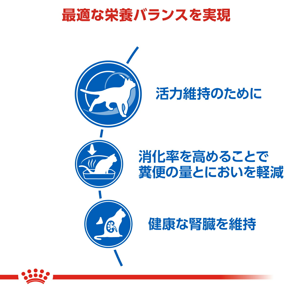ロイヤルカナン　7＋　ウエット　ゼリー　36袋 楽天市場】【11】 [ボール][正規品] ロイヤルカナン 猫パウチ