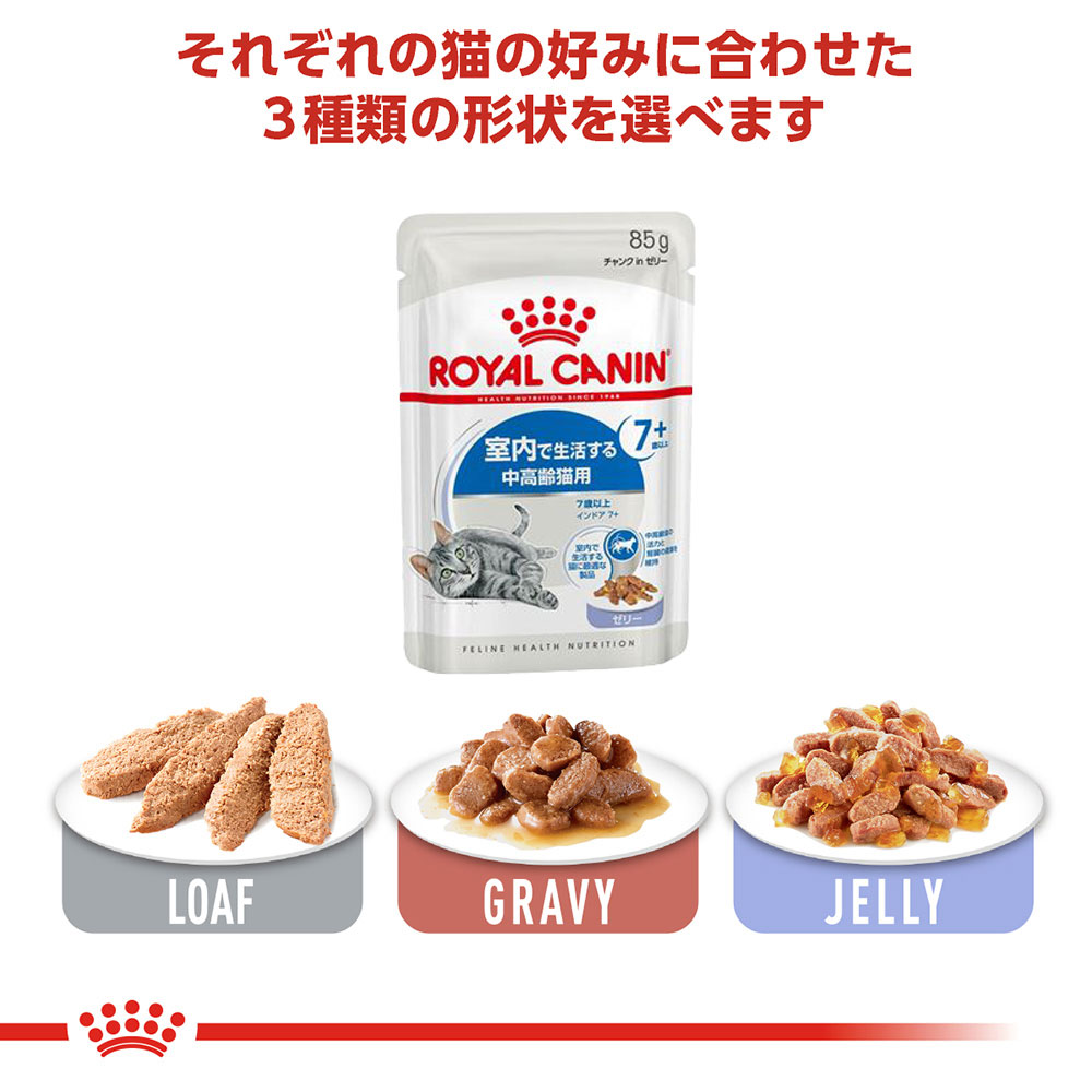 ロイヤルカナン インドアゼリー 48袋