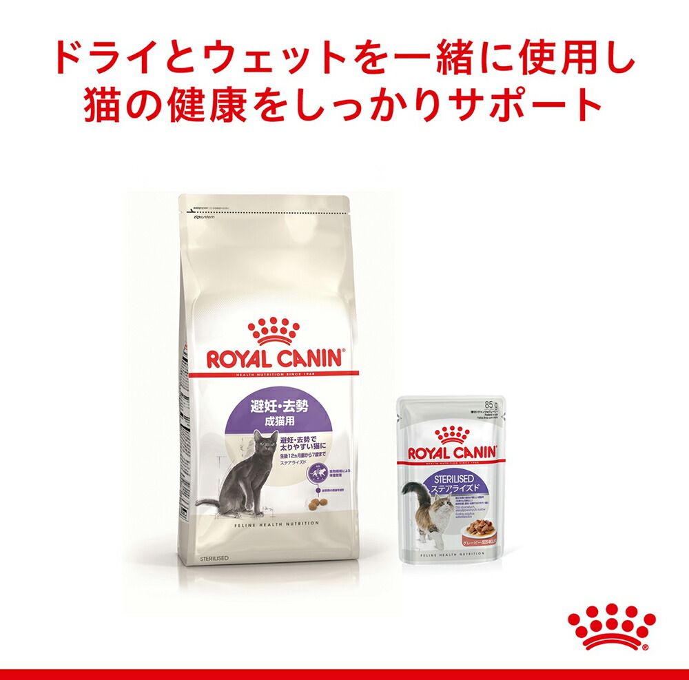 85g×48袋】ロイヤルカナン FHN-WET ステアライズド (猫・キャット