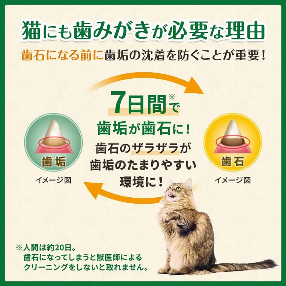【60g×10袋】グリニーズ 猫用 歯みがき専用スナック グリルツナ味 (猫・キャット)[正規品] | グリニーズ | 01