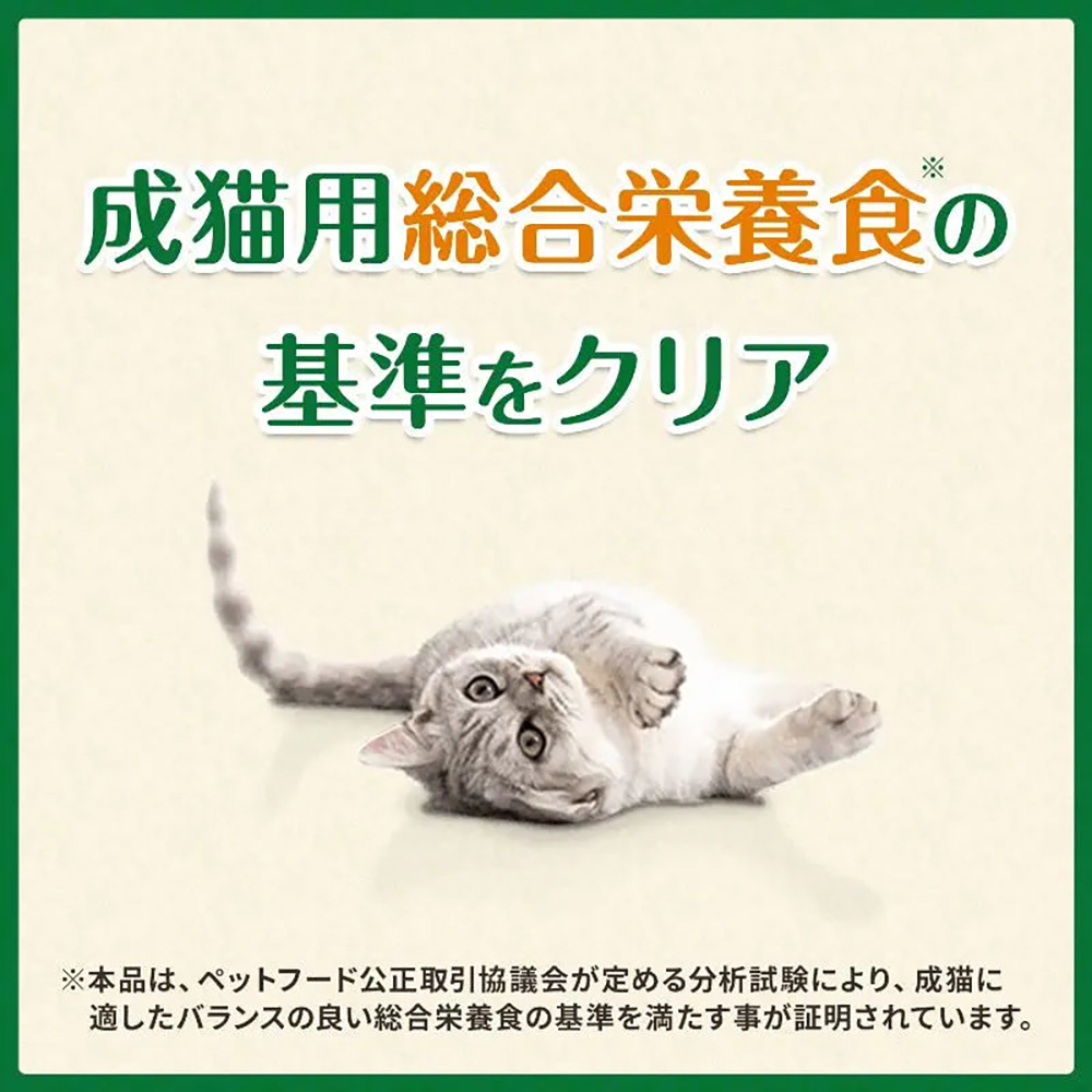 【60g×10袋】グリニーズ 猫用 歯みがき専用スナック グリルツナ味 (猫・キャット)[正規品] | グリニーズ | 04
