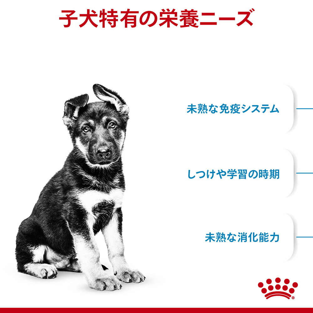 ロイヤルカナン マキシパピー 15kg 子犬 (犬・ドッグ)[正規品] ドッグフード 犬 ドライフード｜sweet-pet｜02