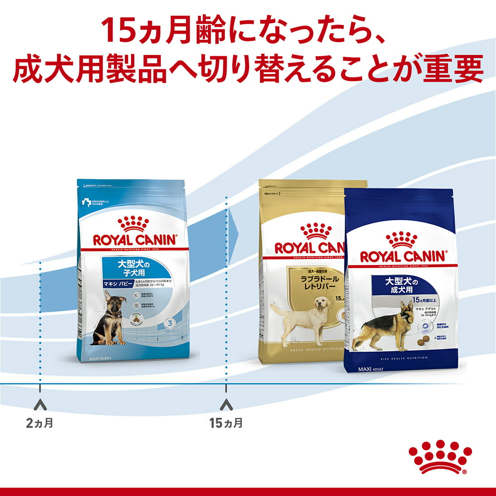 ロイヤルカナン マキシパピー 15kg 子犬 (犬・ドッグ)[正規品