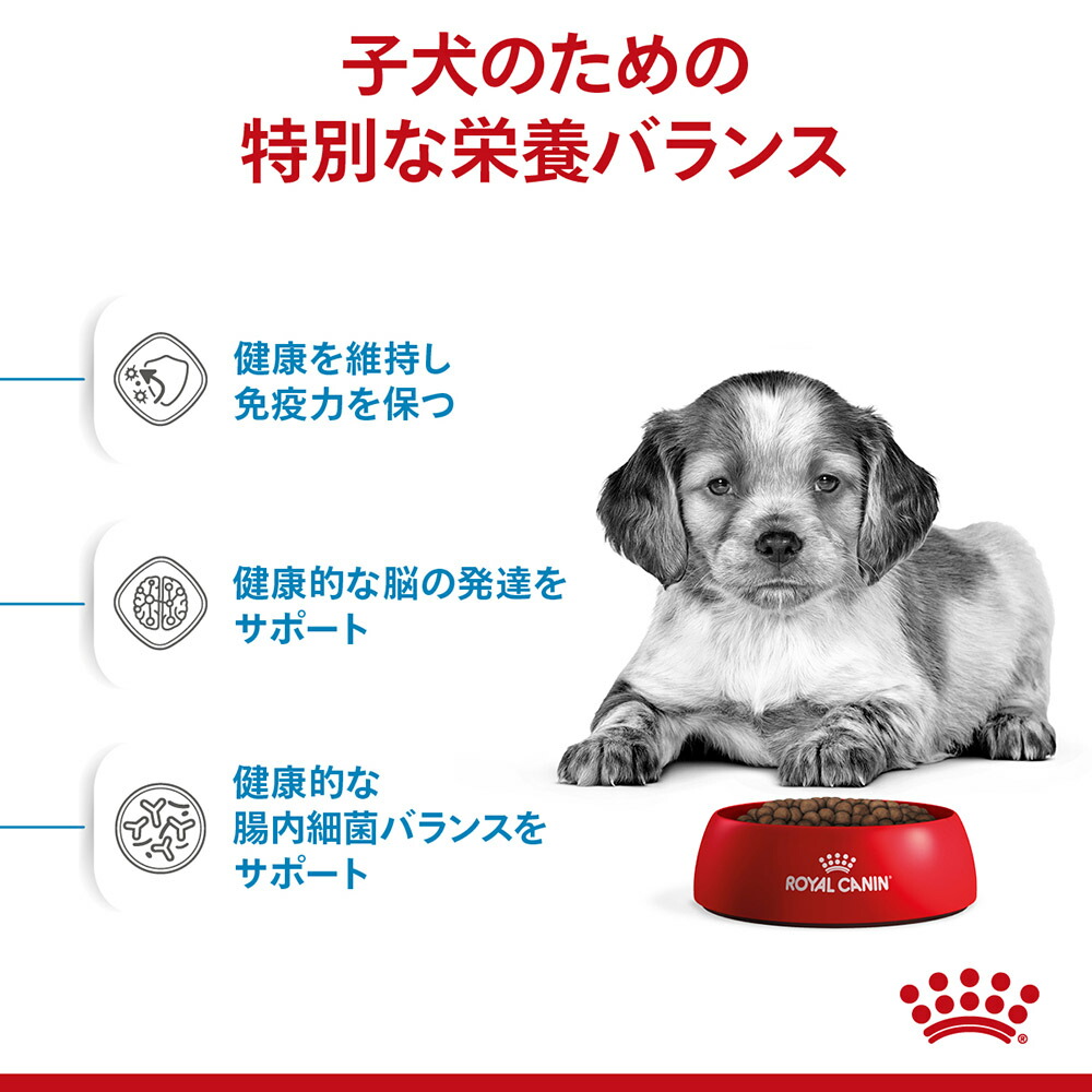 ロイヤルカナン ミディアムパピー 子犬 10kg (犬・ドッグ)[正規品] ドッグフード 犬 ドライフード