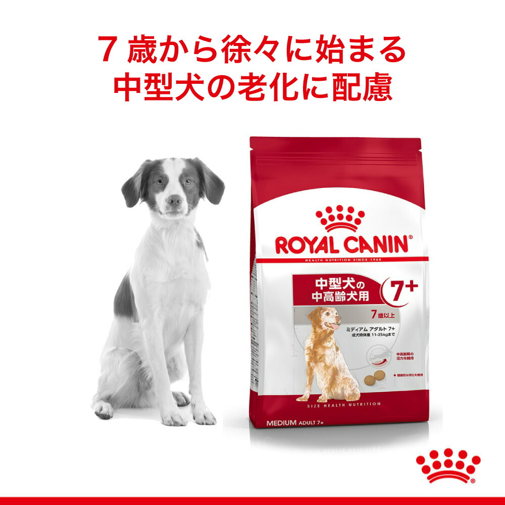 ロイヤルカナン ミディアム アダルト 7+ 10kg (犬・ドッグ) [正規品] ドッグフード 犬 ドライフード