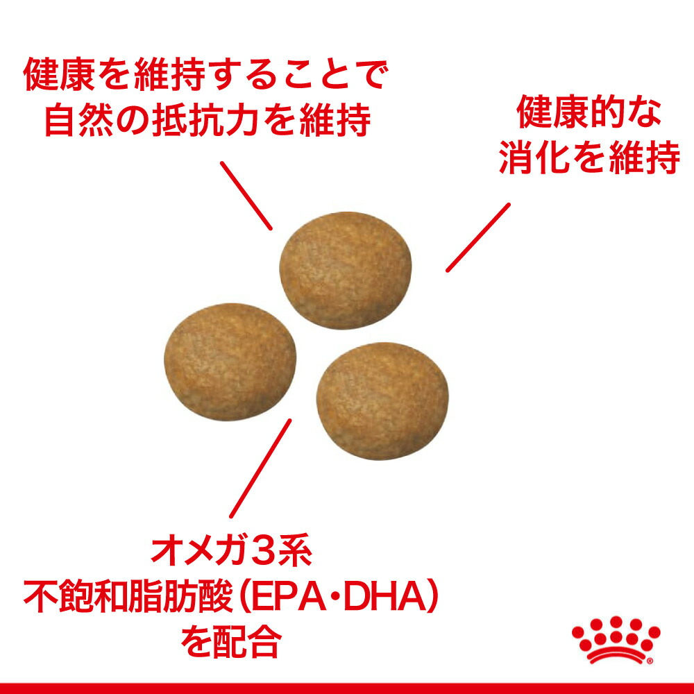 ロイヤルカナン ミディアム アダルト 10kg (犬・ドッグ) [正規品